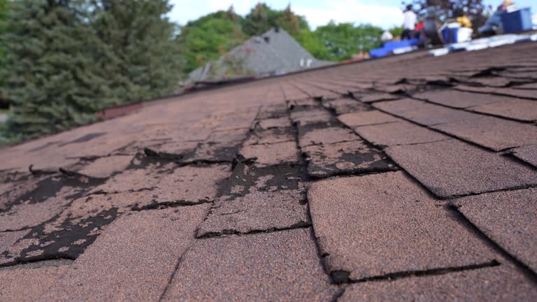 Best Cold Roofs  in Croydon, PA